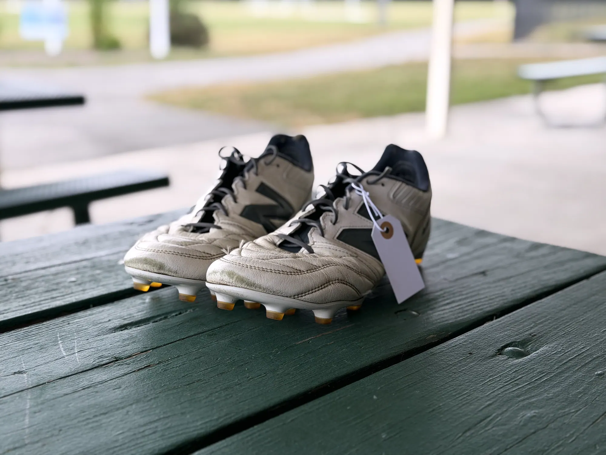 The same tagged pair seen from a step back, the field falling out of focus behind the table
